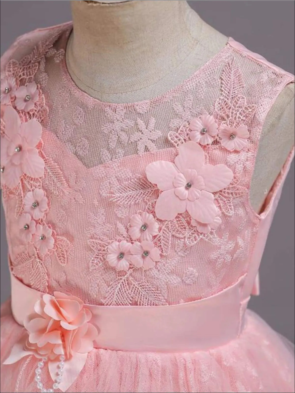 Girls Exquisite Tulle And Lace Floral Applique Holiday Dress