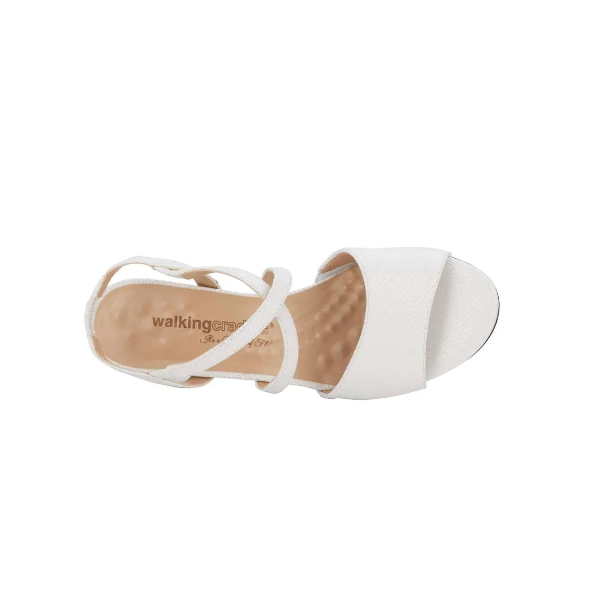 Walking Cradles Wc Liza Women Straps Sandal In White Snakeskin Print Leather
